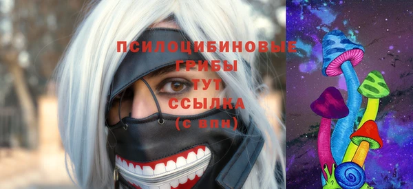 меф Арсеньев